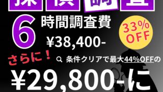 【初回限定】毎月10件限定、6時間調査¥38,400-さらに